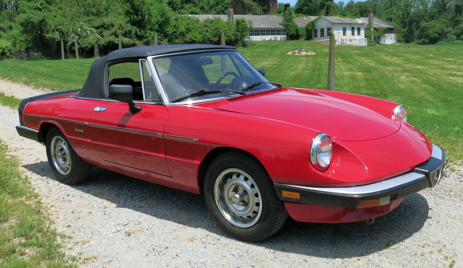 1986 Alfa Romeo Spider Connors Motorcar Company