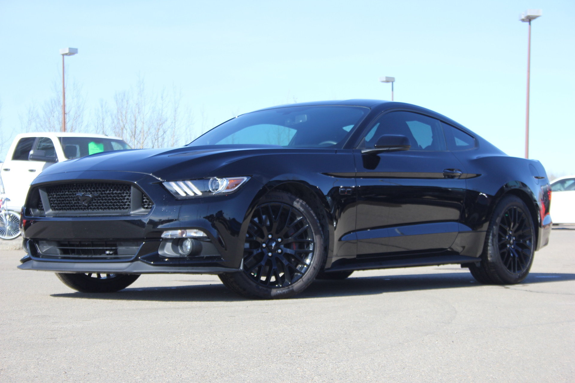 489797dc894f hd 2015 ford mustang gt premium