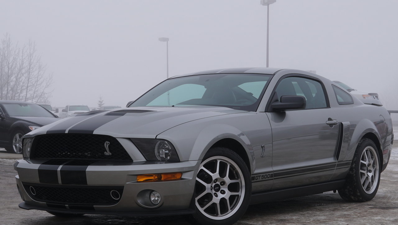 541866bedf6f hd 2008 ford mustang shelby gt500