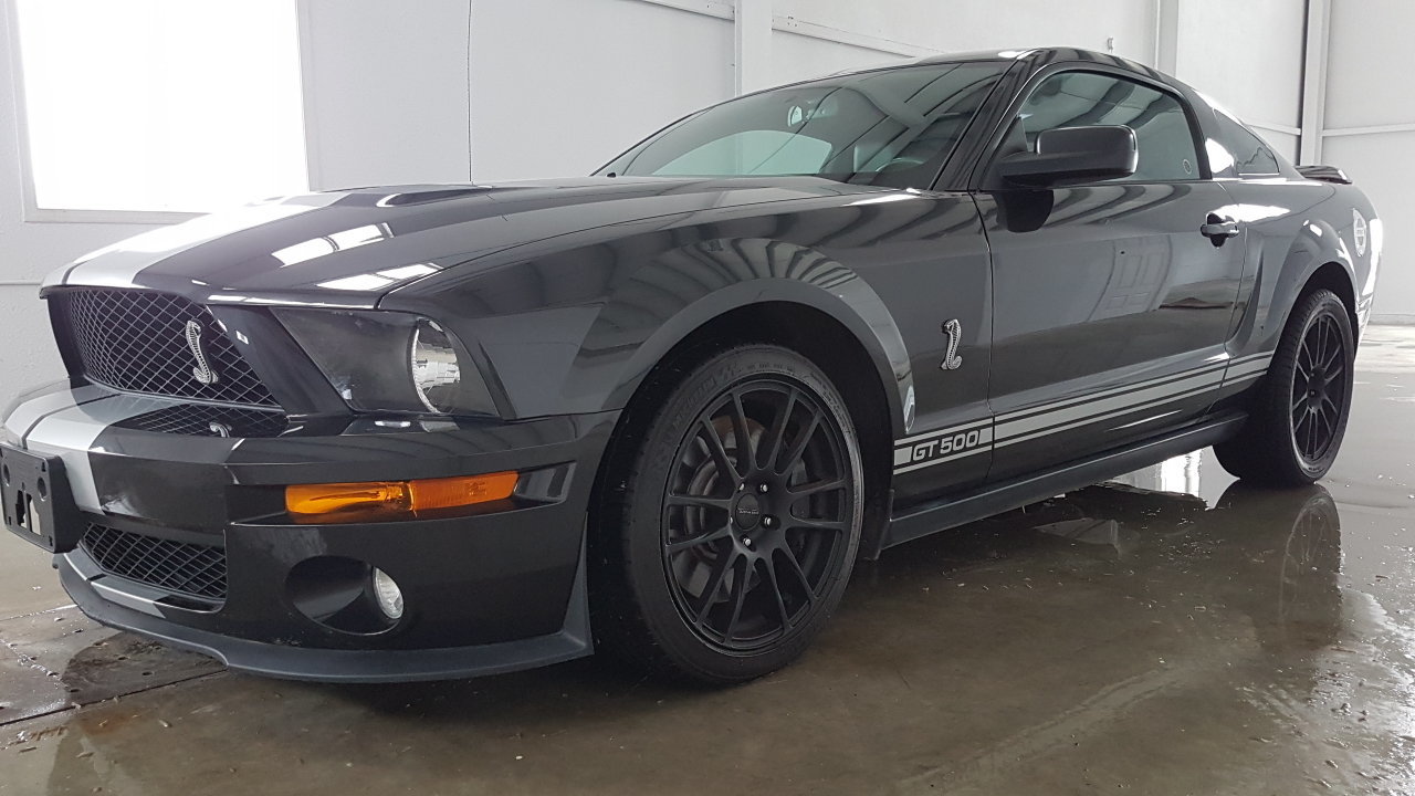 3076c679a016 hd 2008 ford mustang shelby gt500