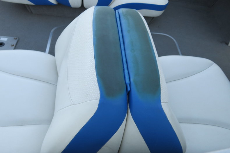 Bayliner Vehicle