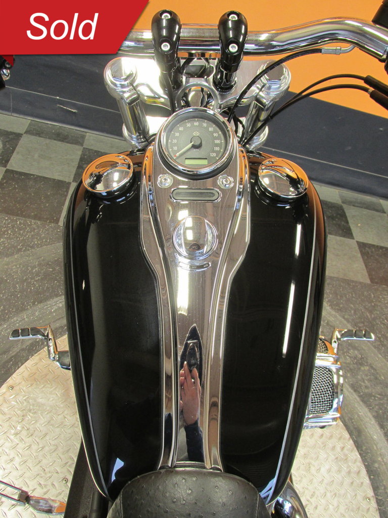 Harley-Davidson Vehicle
