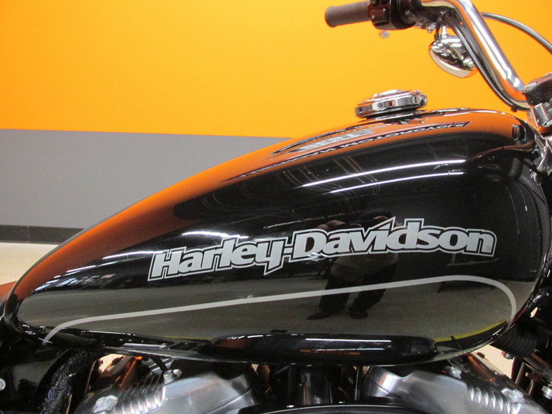 Harley-Davidson Vehicle