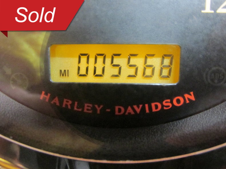 Harley-Davidson Vehicle