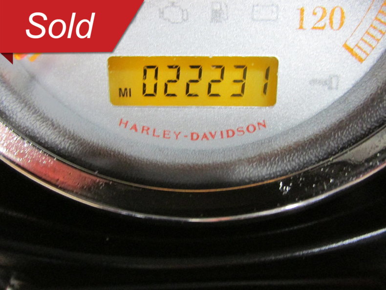 Harley-Davidson Vehicle