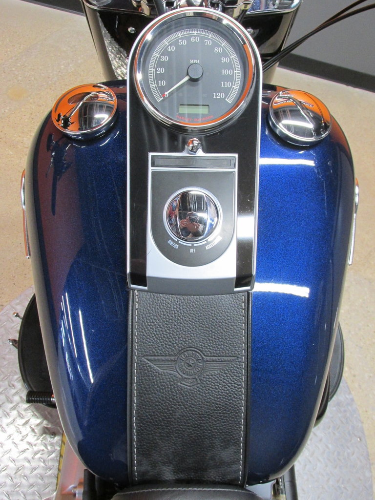 Harley-Davidson Vehicle