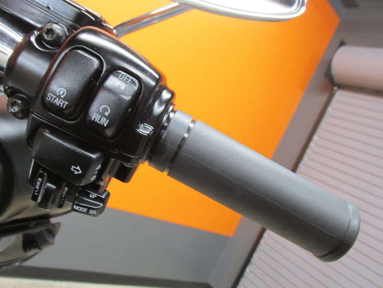 Harley-Davidson Vehicle