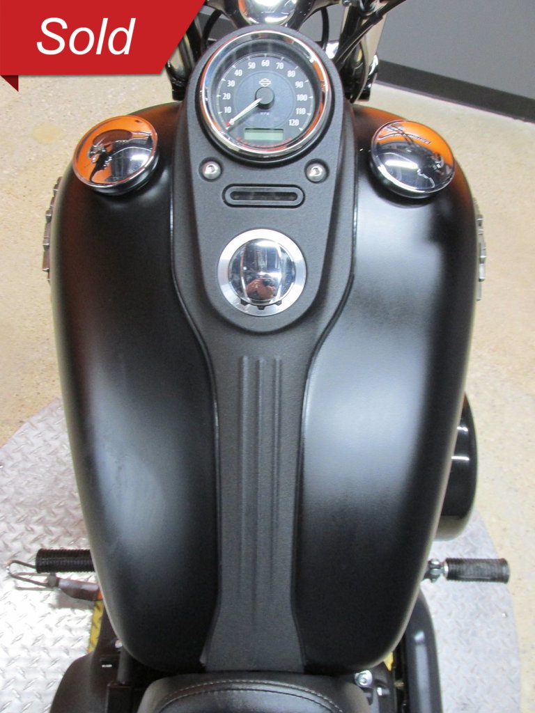 Harley-Davidson Vehicle