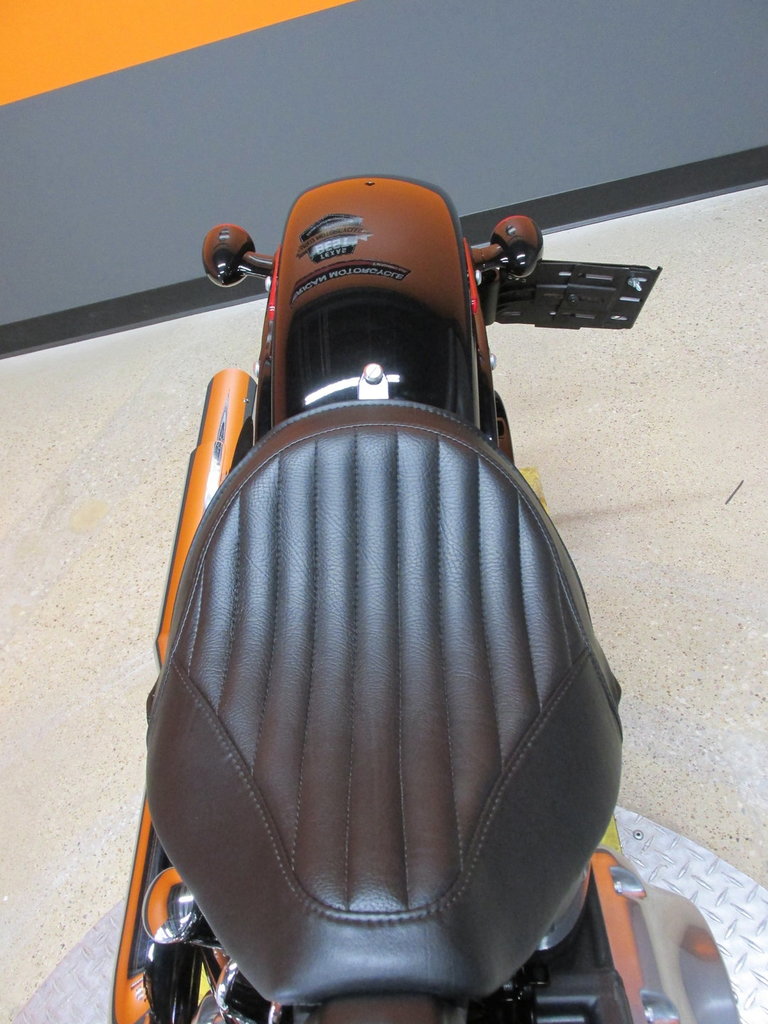 Harley-Davidson Vehicle
