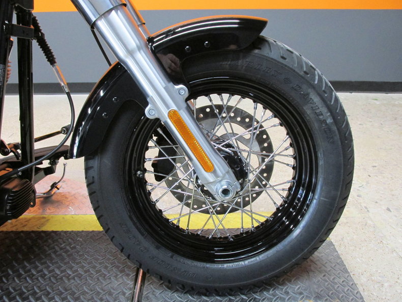 Harley-Davidson Vehicle