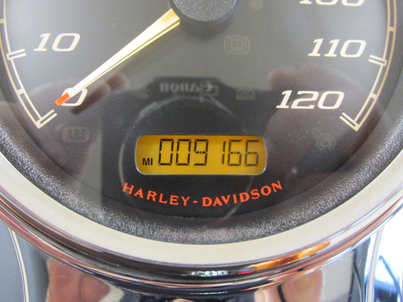 Harley-Davidson Vehicle