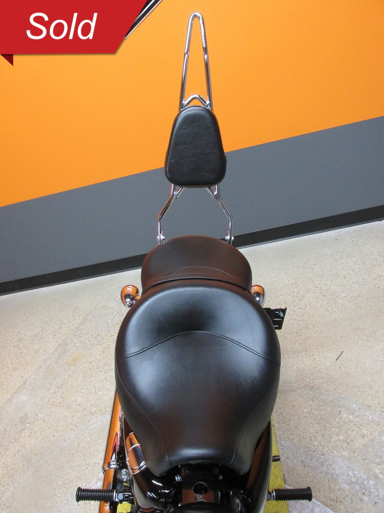Harley-Davidson Vehicle