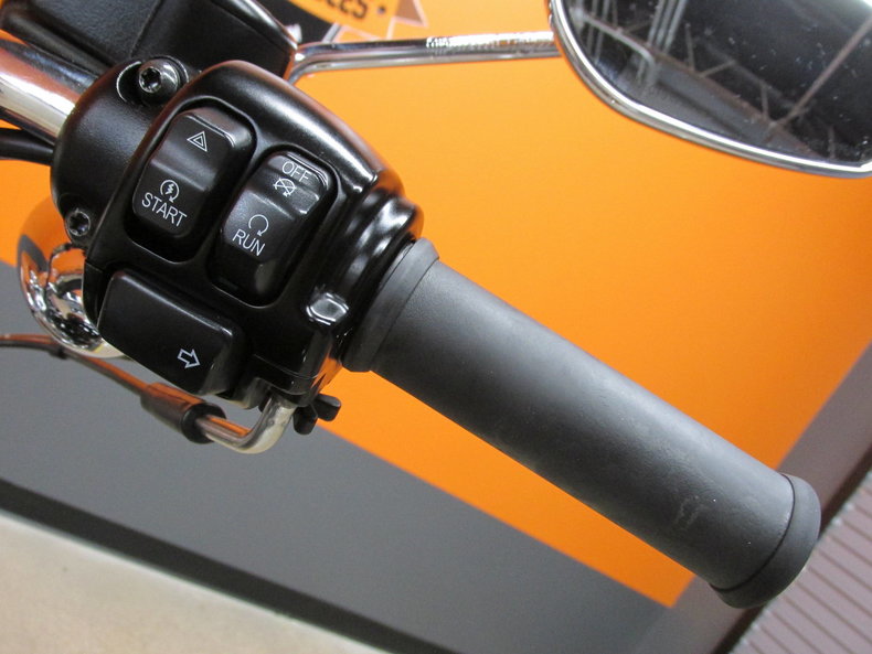 Harley-Davidson Vehicle