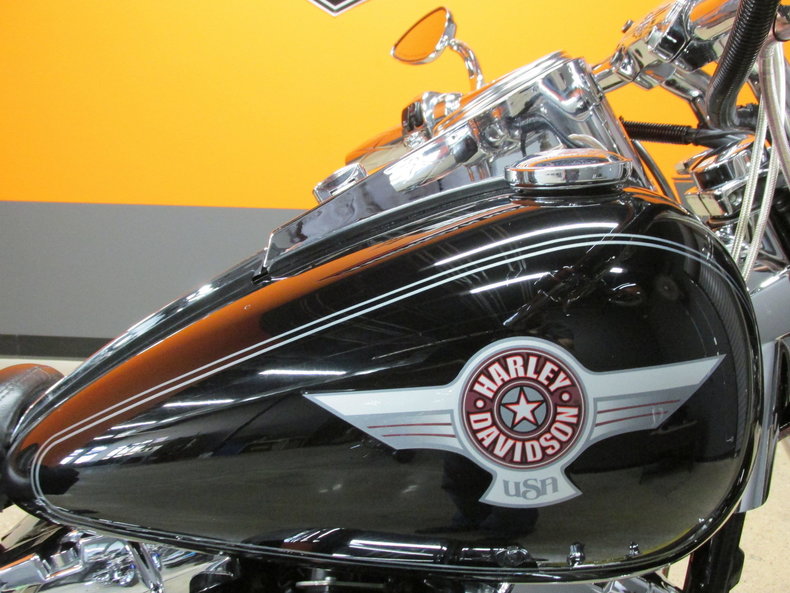 Harley-Davidson Vehicle