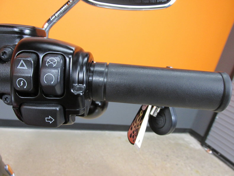 Harley-Davidson Vehicle