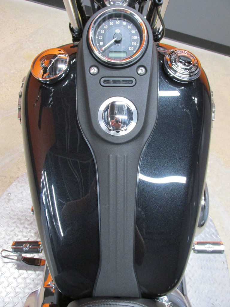 Harley-Davidson Vehicle