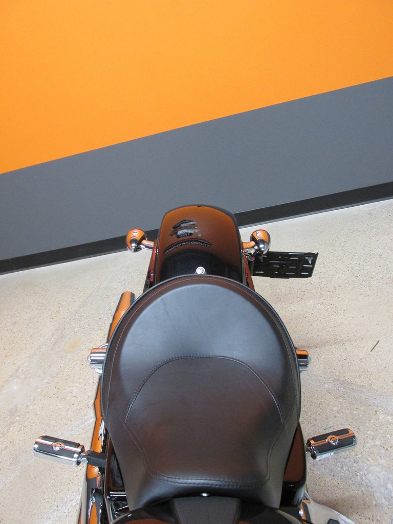 Harley-Davidson Vehicle