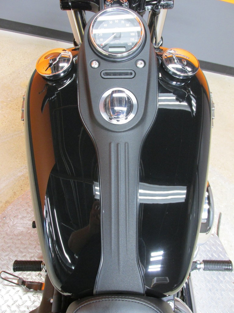 Harley-Davidson Vehicle