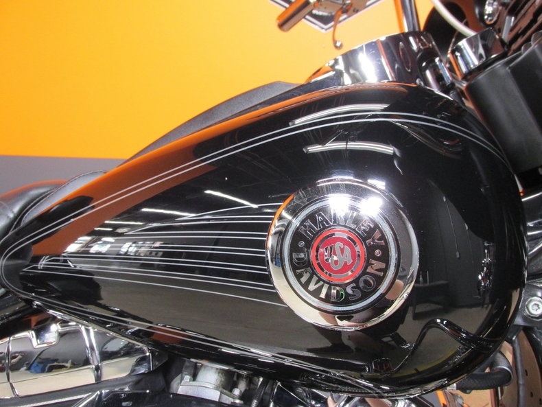Harley-Davidson Vehicle