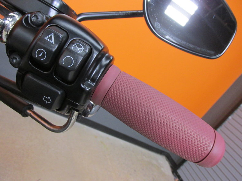Harley-Davidson Vehicle