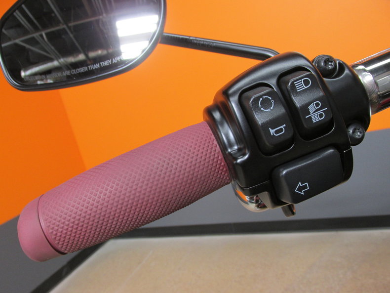 Harley-Davidson Vehicle