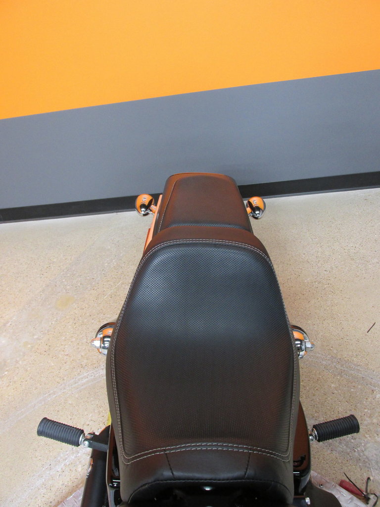 Harley-Davidson Vehicle