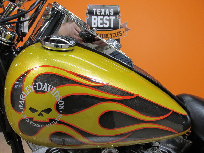 Harley-Davidson Vehicle