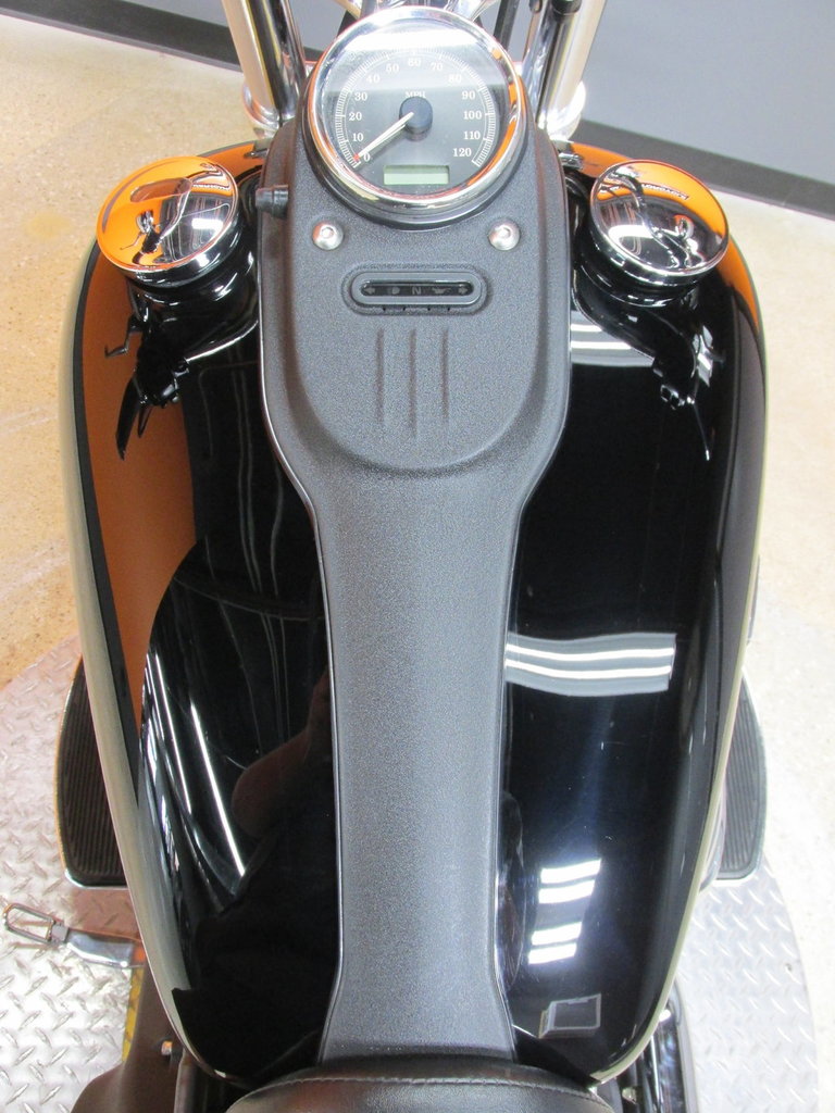 Harley-Davidson Vehicle
