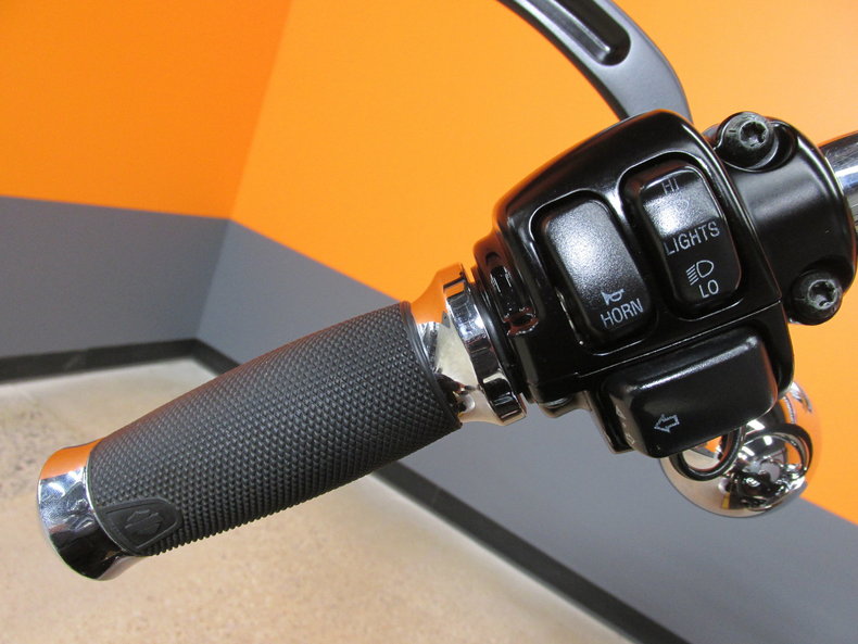 Harley-Davidson Vehicle