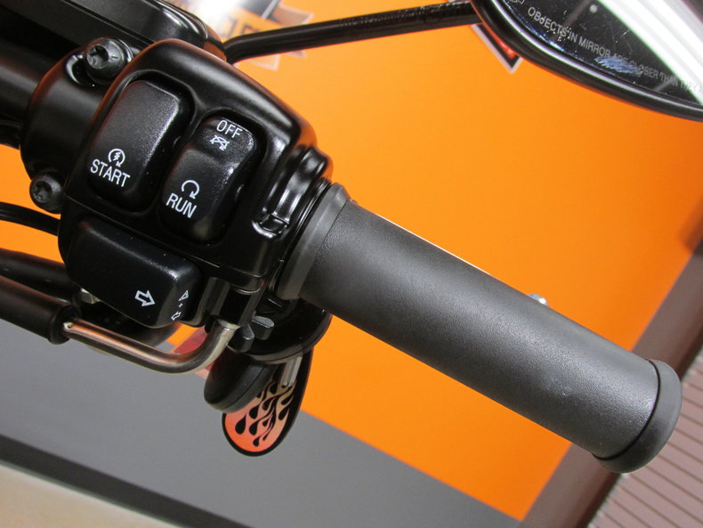 Harley-Davidson Vehicle