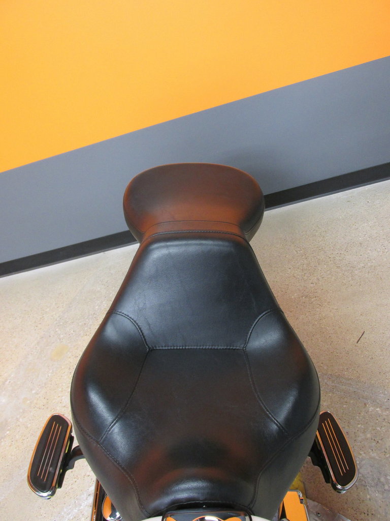 Harley-Davidson Vehicle