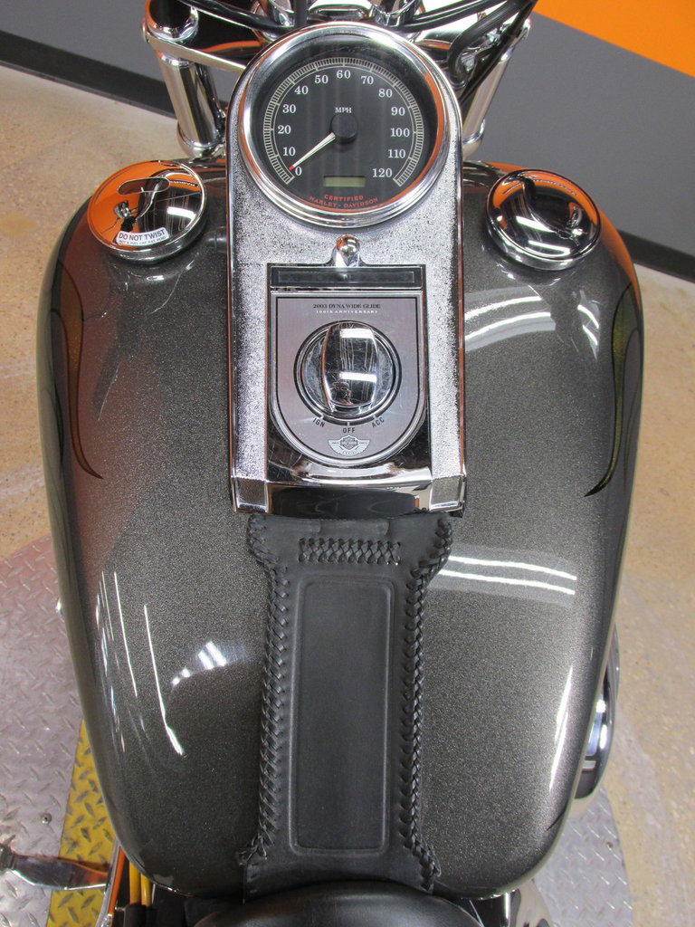 Harley-Davidson Vehicle