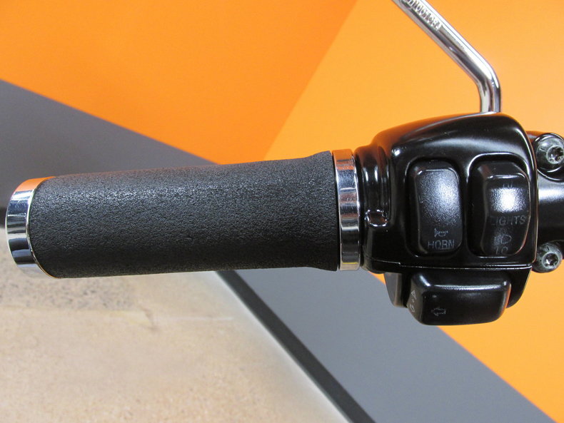 Harley-Davidson Vehicle