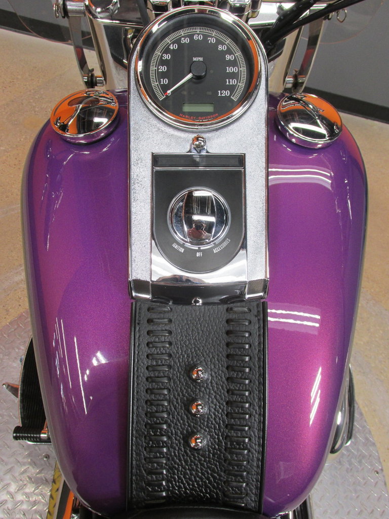 Harley-Davidson Vehicle