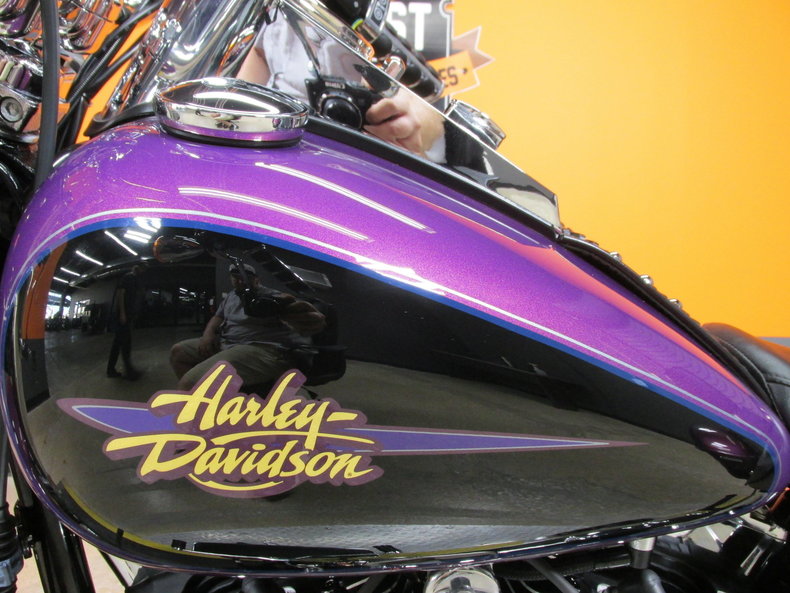 Harley-Davidson Vehicle