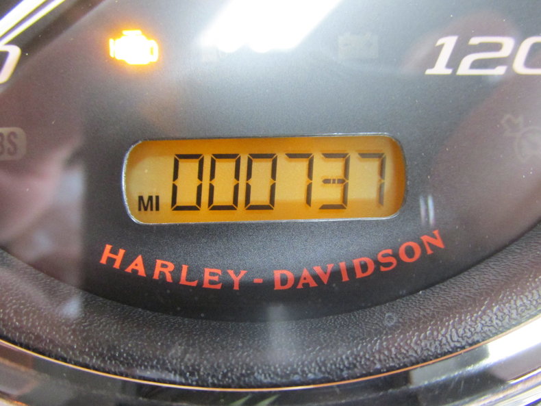 Harley-Davidson Vehicle