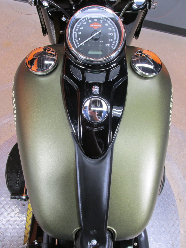 Harley-Davidson Vehicle