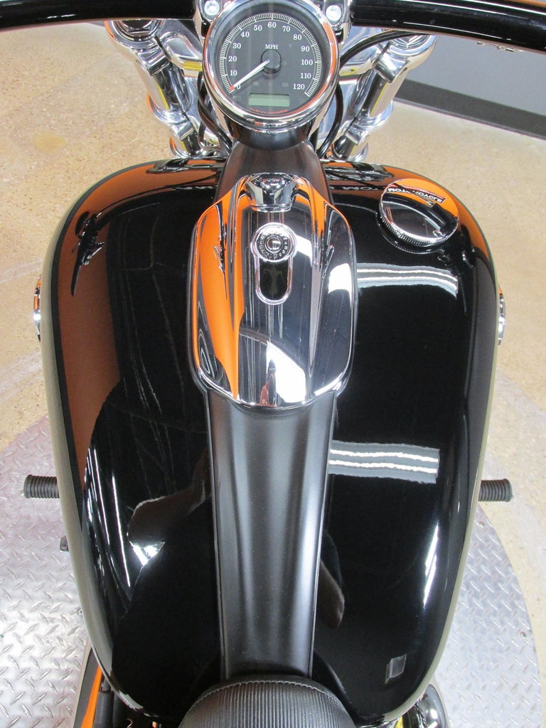Harley-Davidson Vehicle