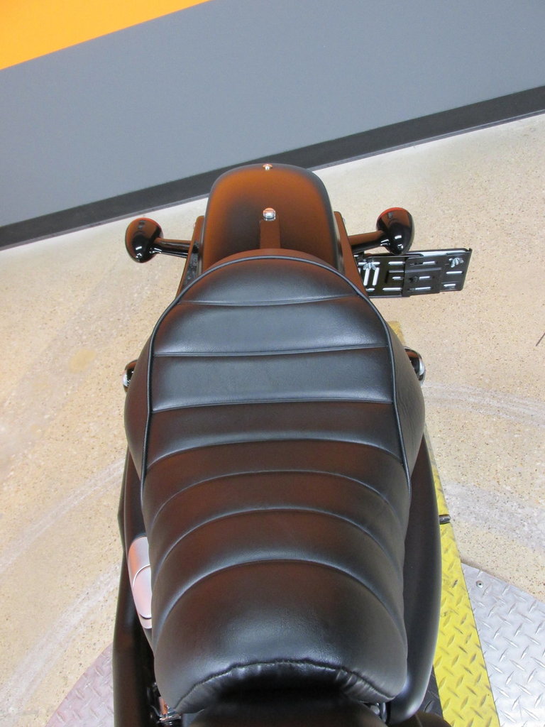 Harley-Davidson Vehicle