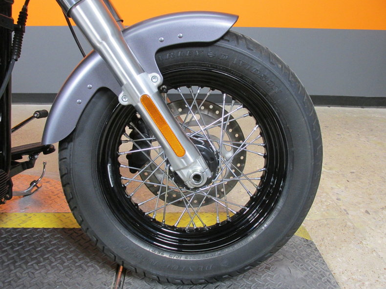 Harley-Davidson Vehicle
