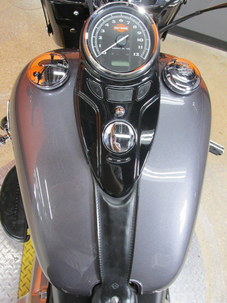 Harley-Davidson Vehicle