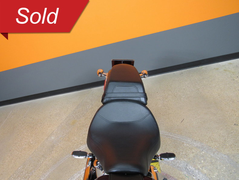 Harley-Davidson Vehicle