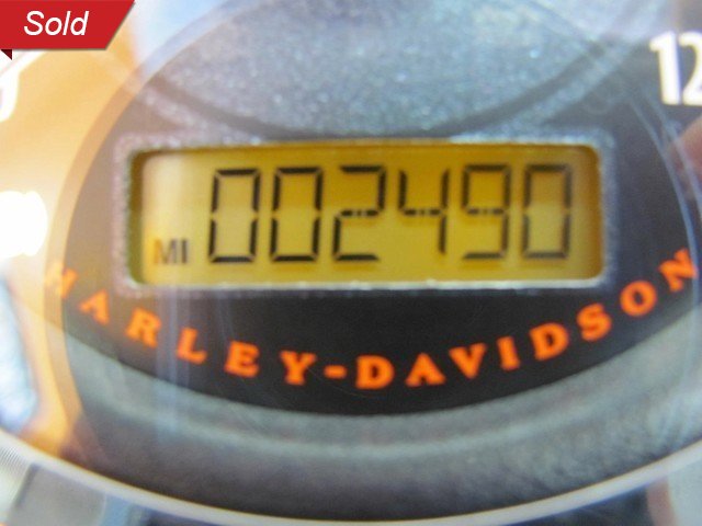 Harley-Davidson Vehicle