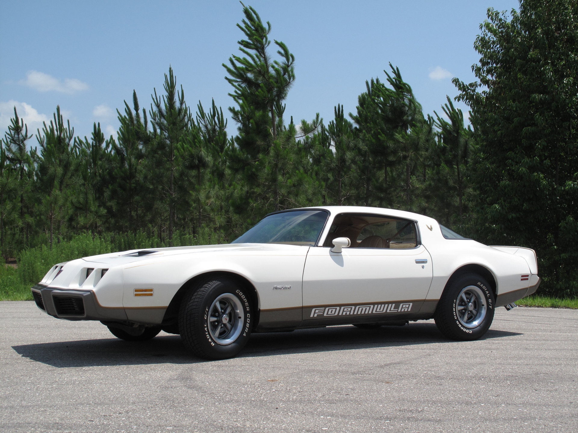 15696ba5b3d1e hd 1979 pontiac firebird formula w50