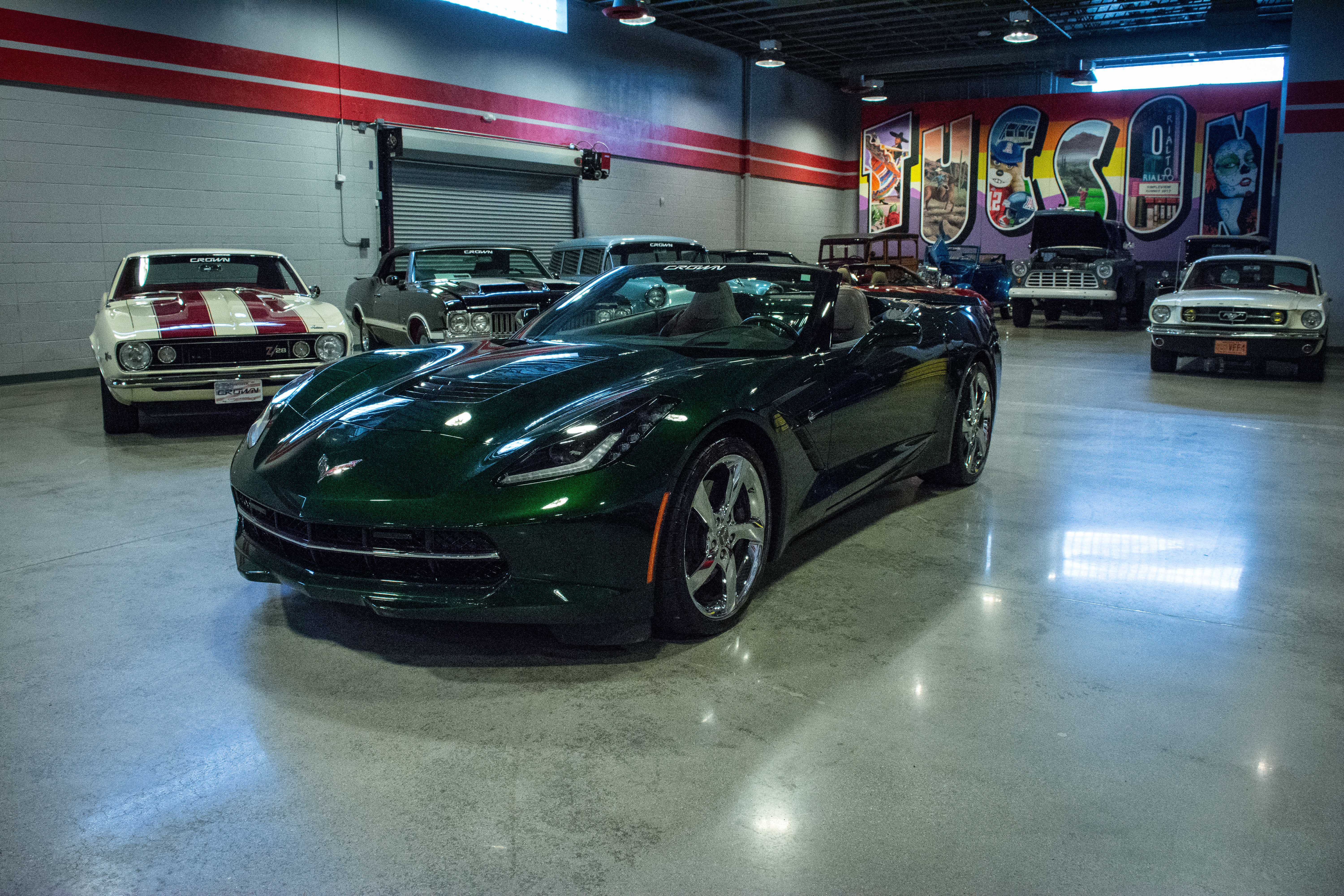 2031 cd31799e55632014 stingray2