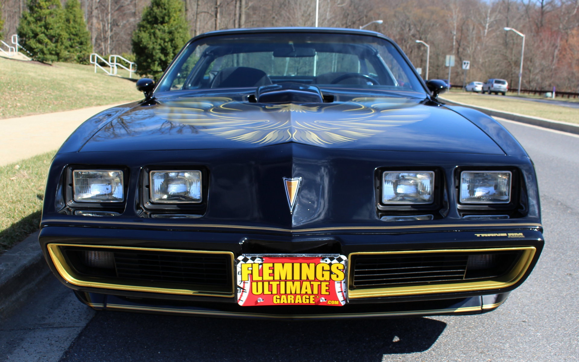 1979 Pontiac Trans Am Bandit for sale 77523 MCG