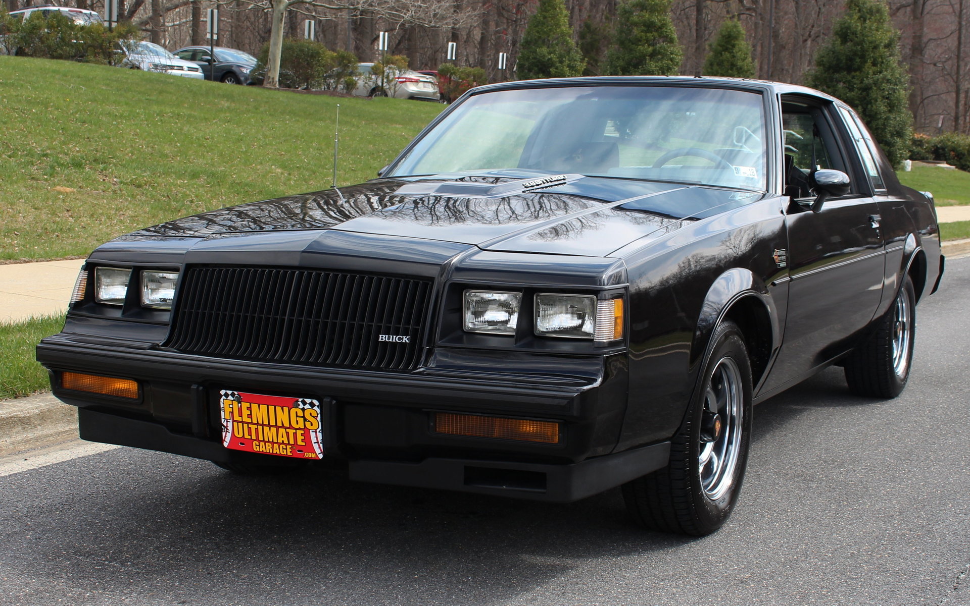 1987 Buick Regal Grand National For Sale 84643 Mcg