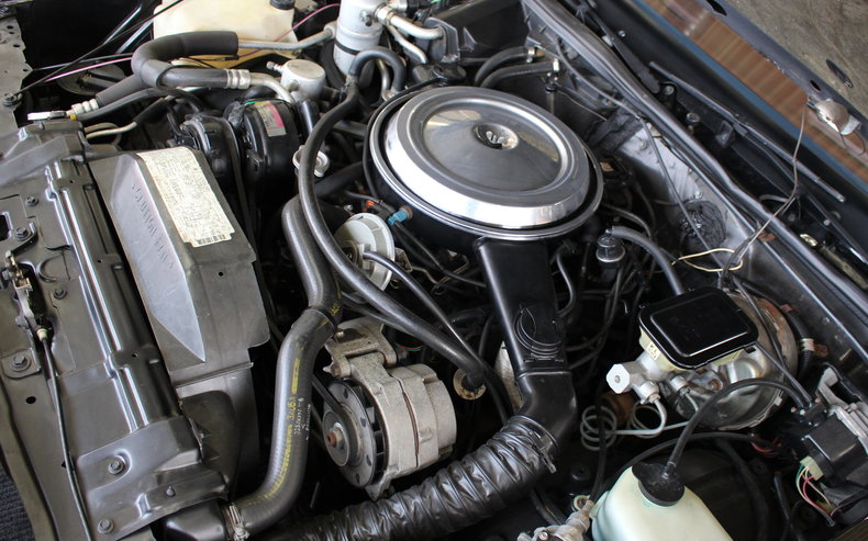 1983 Oldsmobile 442 | 1983 Oldsmobile 442 Hurst/Olds for sale to buy or ...