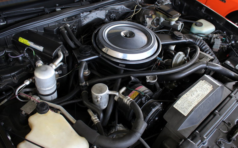 1983 Oldsmobile 442 | 1983 Oldsmobile 442 Hurst/Olds for sale to buy or ...