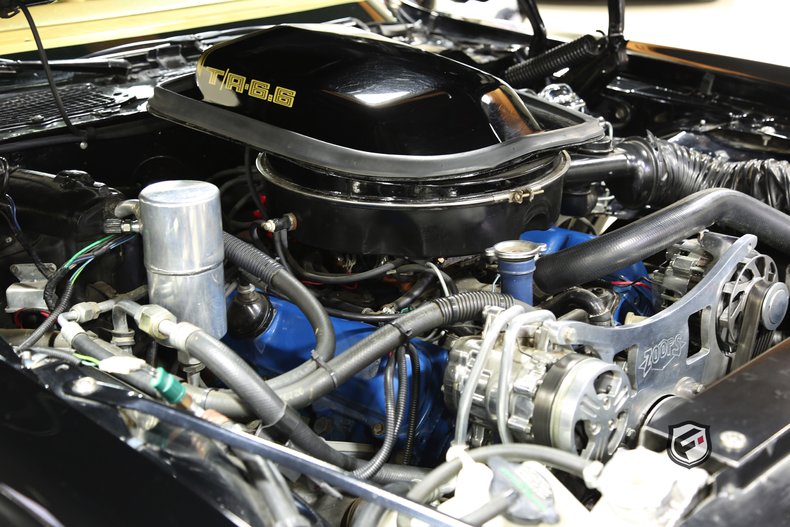 1979 Pontiac TRANS AM